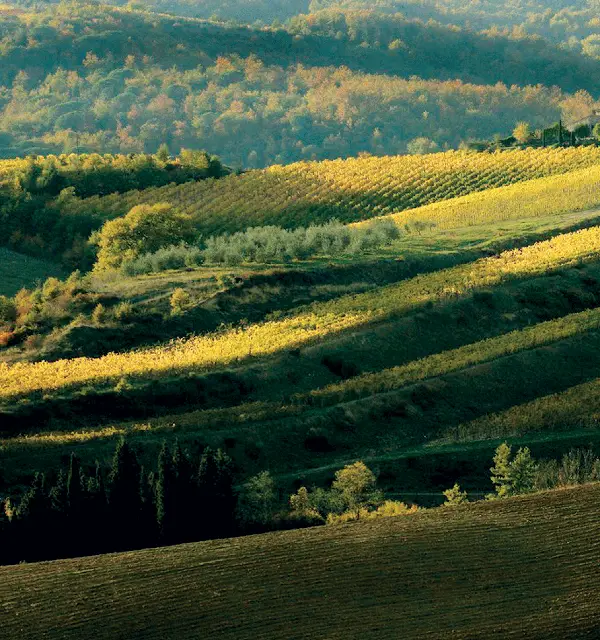 Chianti