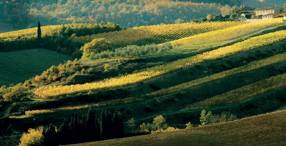 Chianti