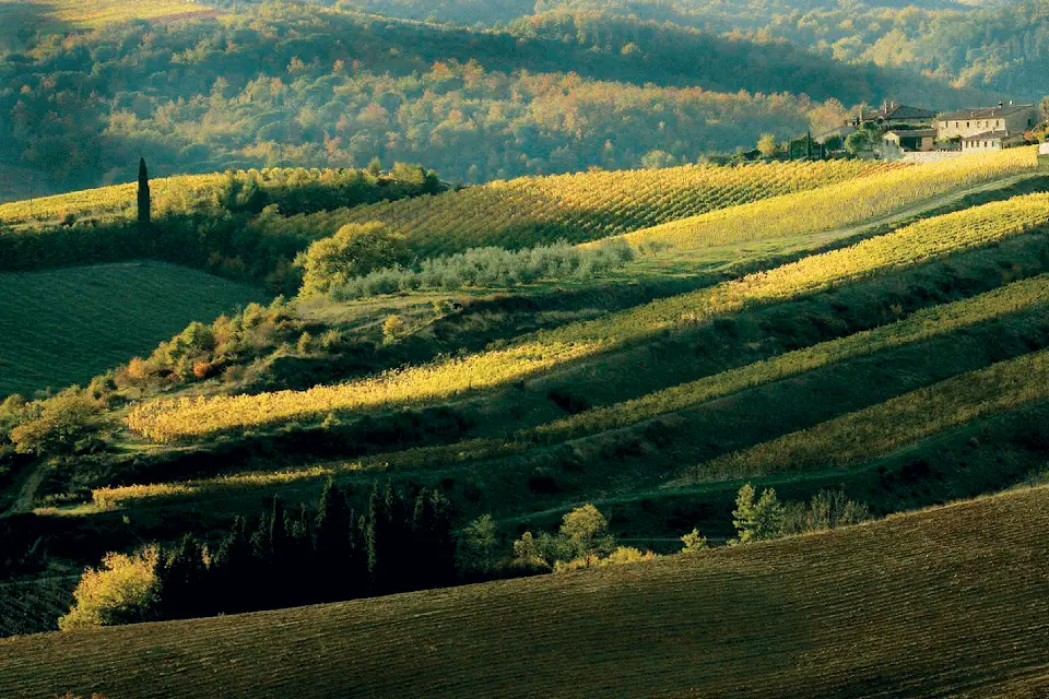 Chianti