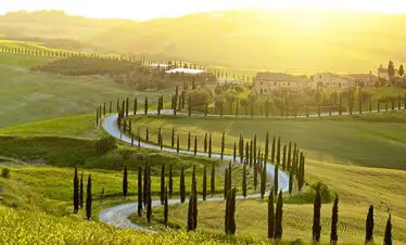 Chianti Region